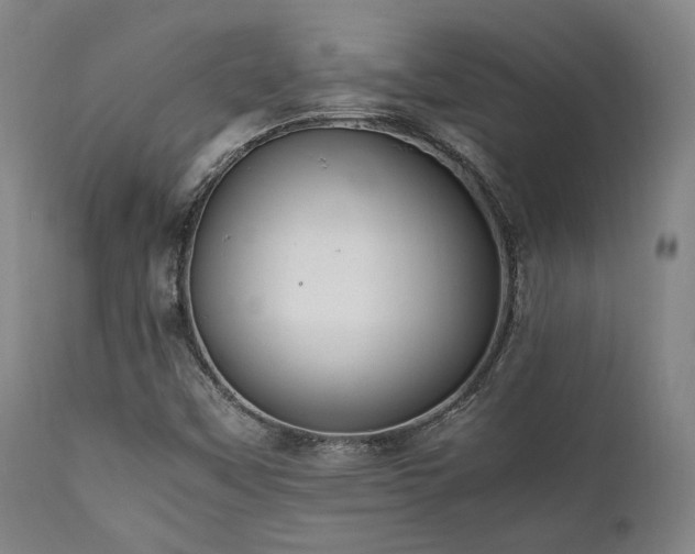 X0000112041451200908031505