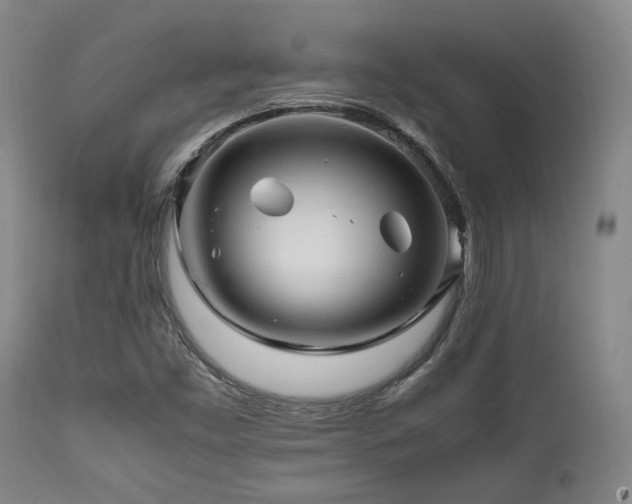 X0000112041453200908031504