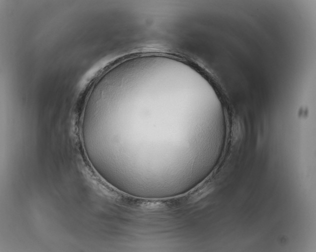 X0000112041454200908031504
