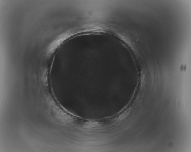 X0000112041455200908031504