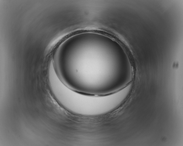 X0000112041456200908031504