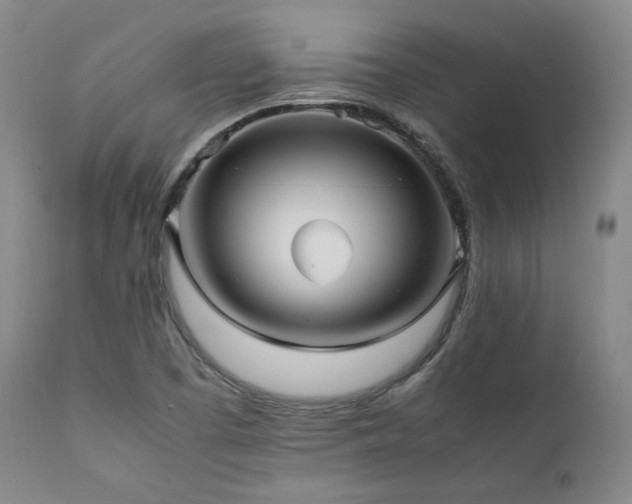 X0000112041457200908031504