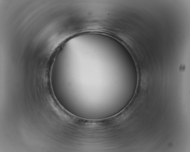 X0000112041458200908031504