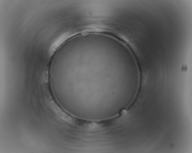 X0000112041459200908031504