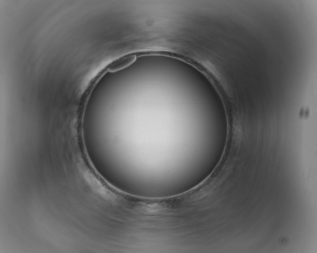 X0000112041460200908031504