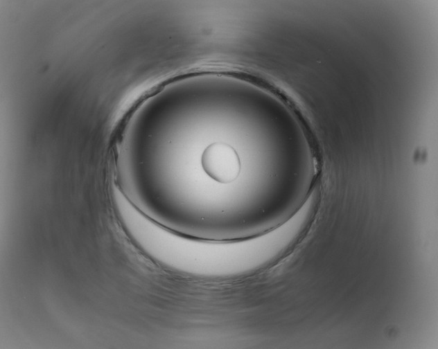X0000112041461200908031504