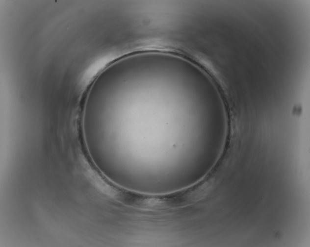 X0000112041463200908031504
