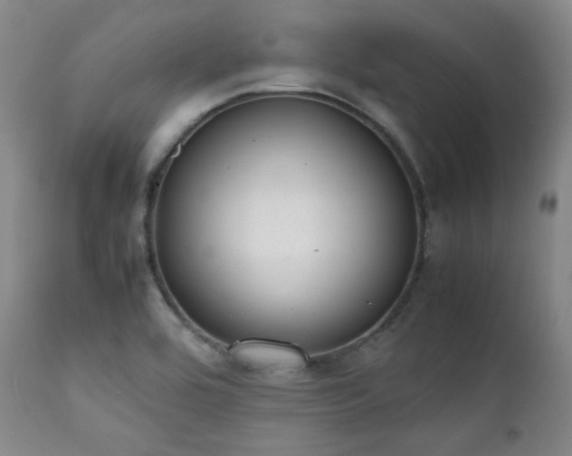 X0000112041464200908031504