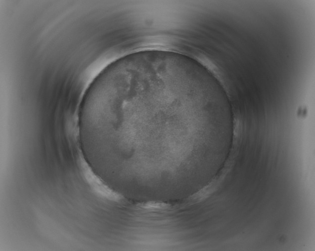 X0000112041466200908031504