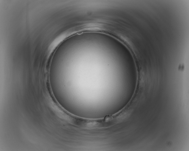 X0000112041467200908031504