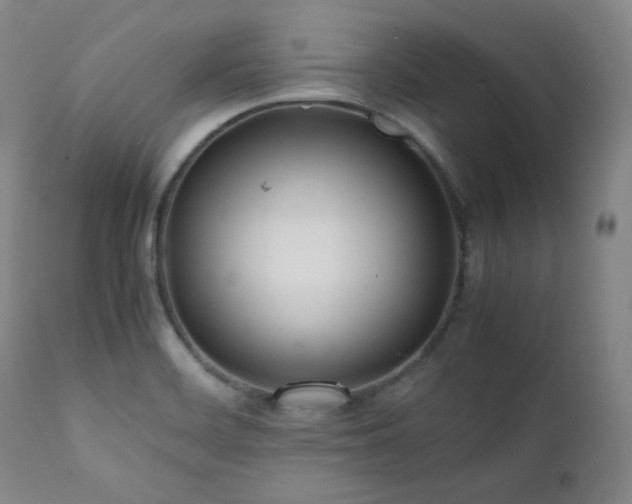 X0000112041468200908031504