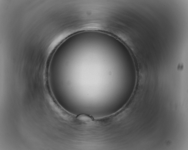 X0000112041469200908031504