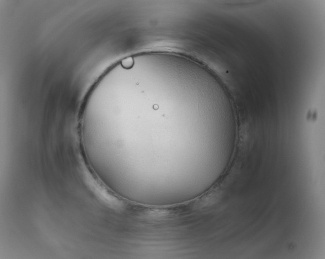 X0000112041470200908031504