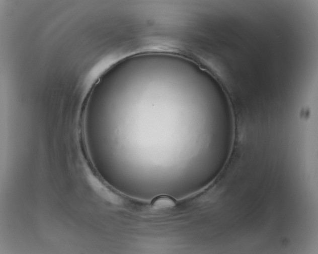 X0000112041471200908031504