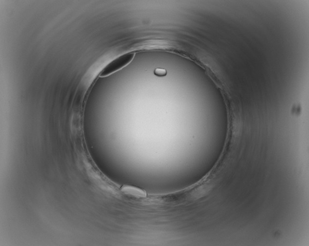 X0000112041473200908031504