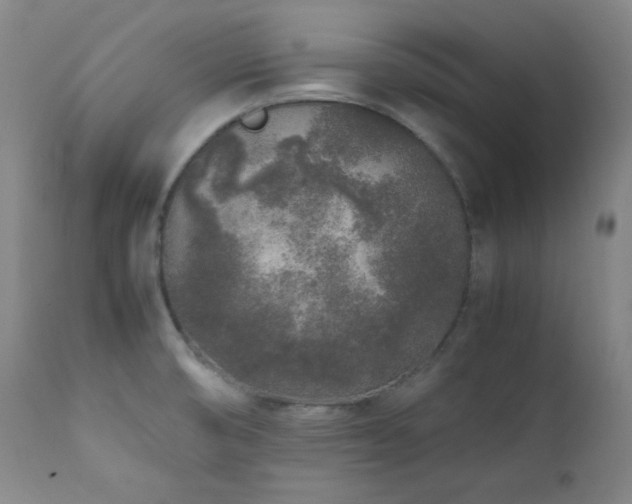 X0000112041474200908031504
