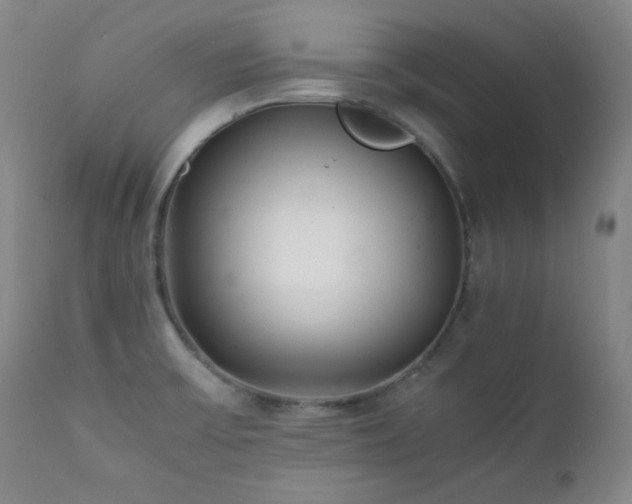 X0000112041475200908031504