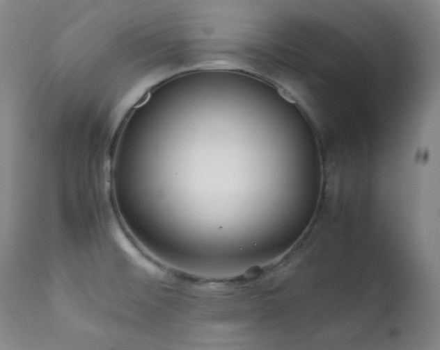 X0000112041476200908031504