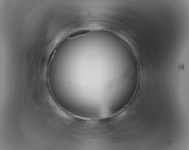 X0000112041477200908031504