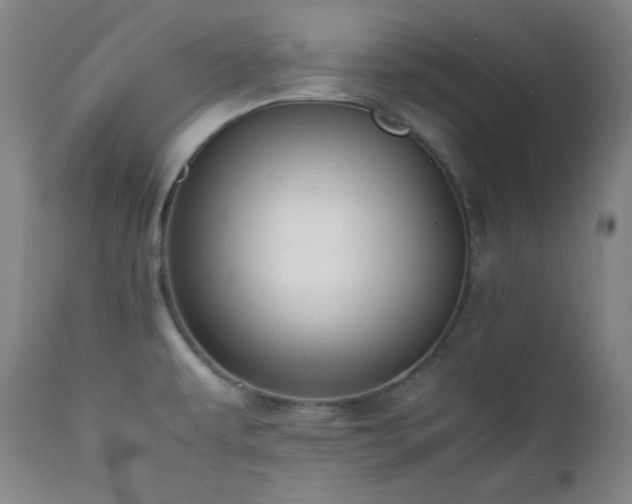 X0000112041479200908031504