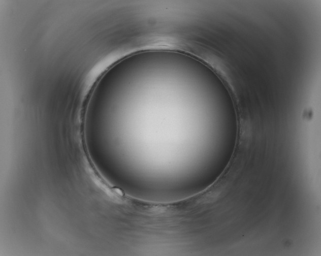 X0000112041480200908031504