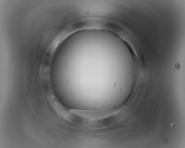 X0000112041481200908031504