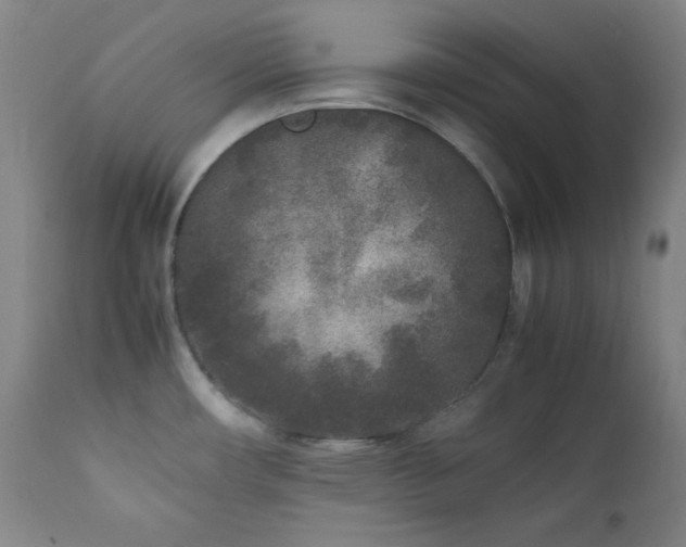 X0000112041482200908031504