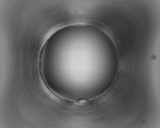 X0000112041483200908031504