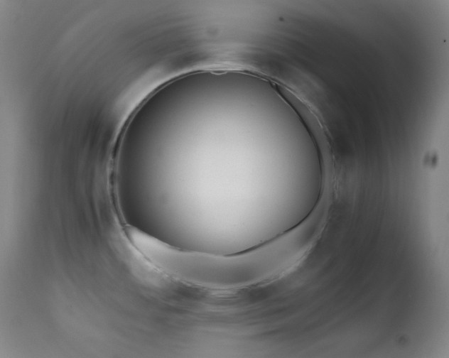 X0000112041484200908031504