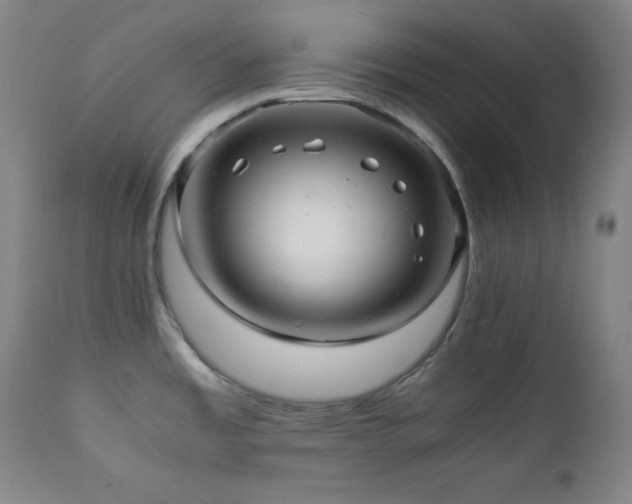 X0000112041485200908031504