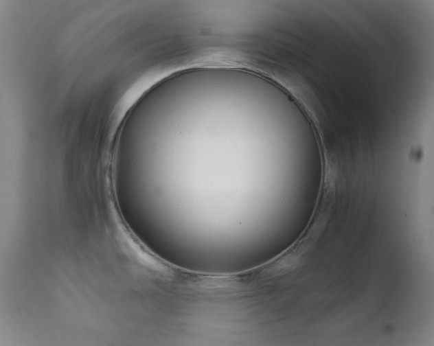 X0000112041486200908031504