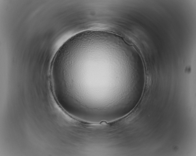 X0000112041487200908031504