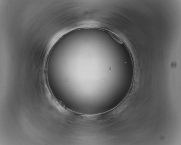 X0000112041488200908031504