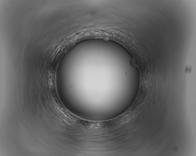 X0000112041490200908031503