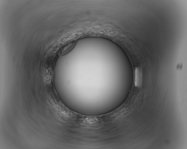 X0000112041491200908031503