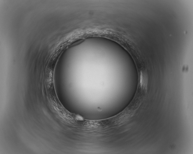 X0000112041492200908031503