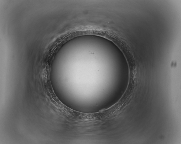 X0000112041493200908031503