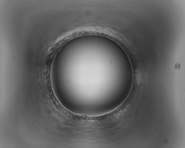 X0000112041494200908031503