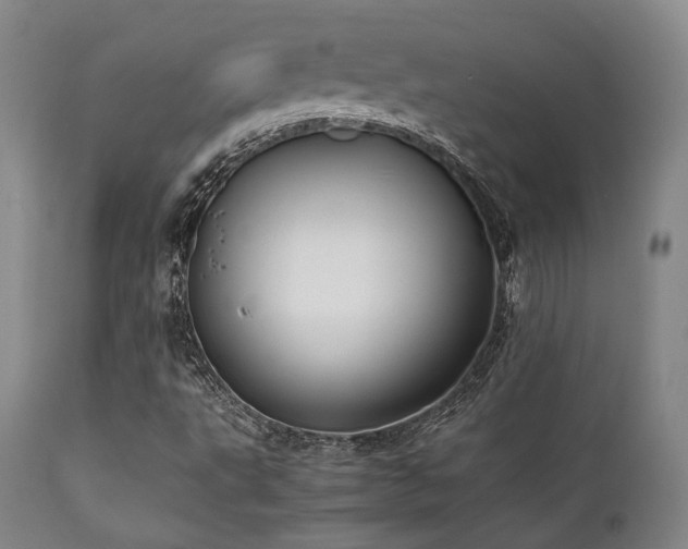 X0000112041495200908031503