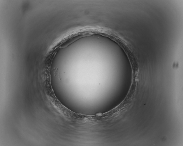 X0000112041496200908031503