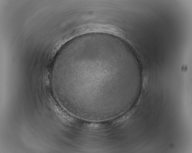 X0000112041497200908031503