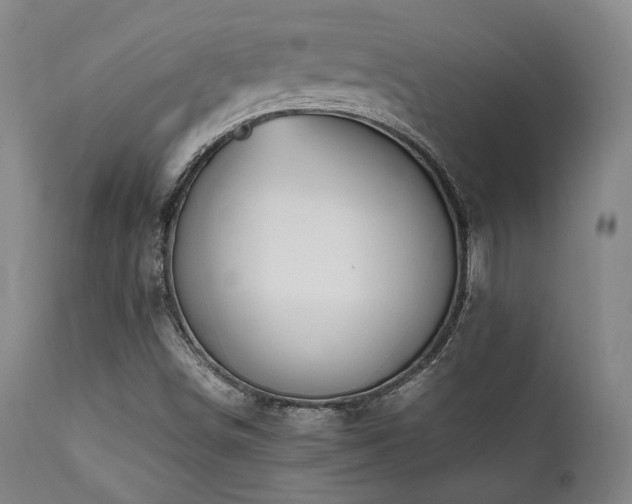 X0000112041498200908031503
