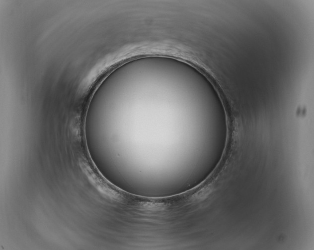 X0000112041499200908031503