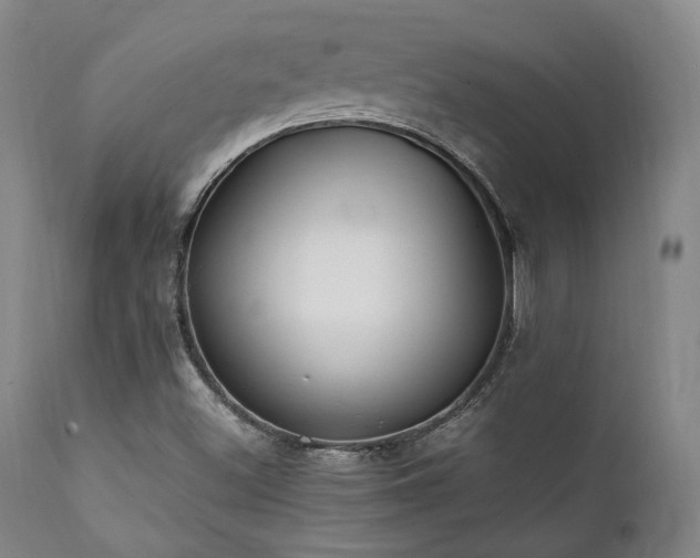 X0000112041500200908031503
