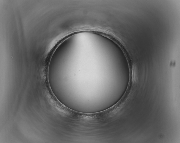 X0000112041501200908031503