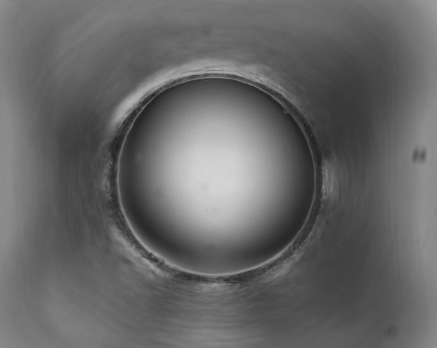 X0000112041502200908031503