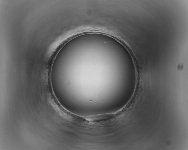 X0000112041503200908031503
