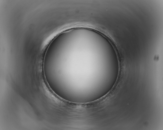 X0000112041504200908031503