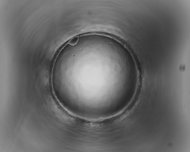 X0000112041505200908031503