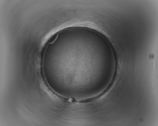 X0000112041506200908031503